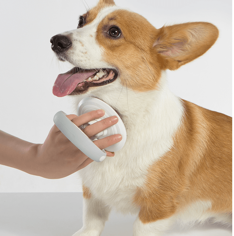 Furcare Pro: The Ultimate Self-Cleaning Wire Brush For A Flawless Grooming Experience!-3