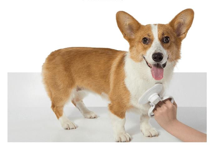 Furcare Pro: The Ultimate Self-Cleaning Wire Brush For A Flawless Grooming Experience!-2